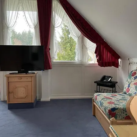 Sunside Ferien Wellness Oase Apartment's Schwarzwald Am Schluchsee